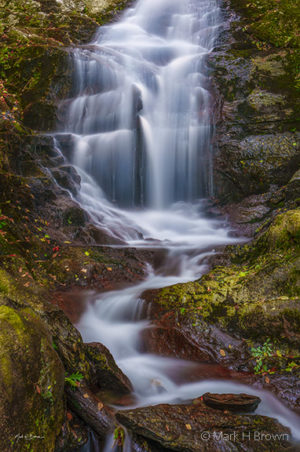 Forest Waterfall vertical