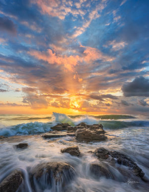 Coquina Wave vertical