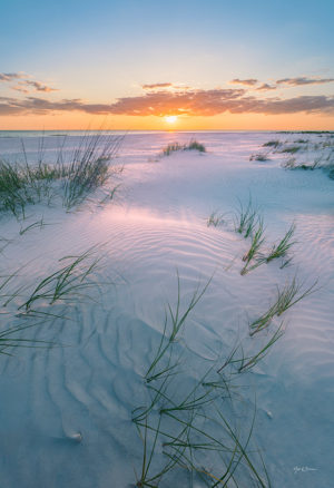 Lido Beach Dunes